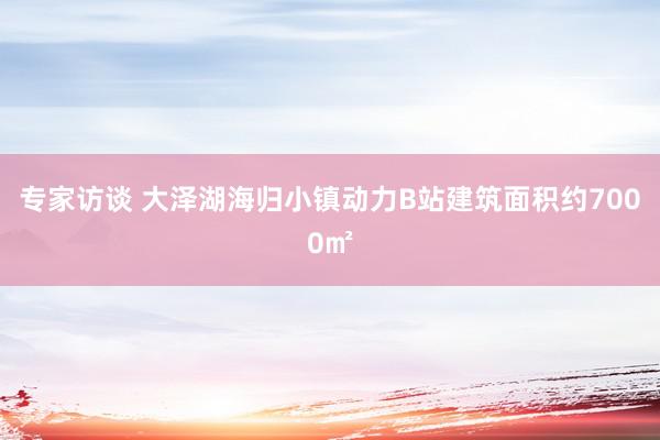 专家访谈 大泽湖海归小镇动力B站建筑面积约7000㎡