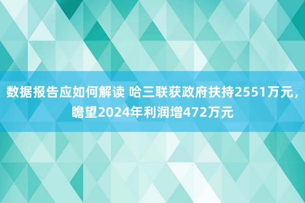 数据报告应如何解读 哈三联获政府扶持2551万元，瞻望2024年利润增472万元