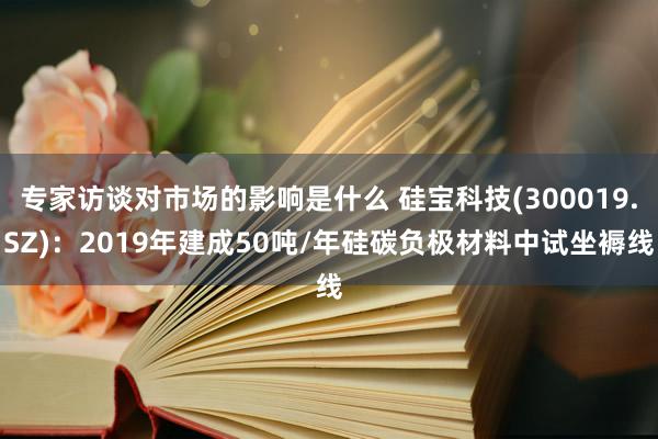 专家访谈对市场的影响是什么 硅宝科技(300019.SZ)：2019年建成50吨/年硅碳负极材料中试坐褥线