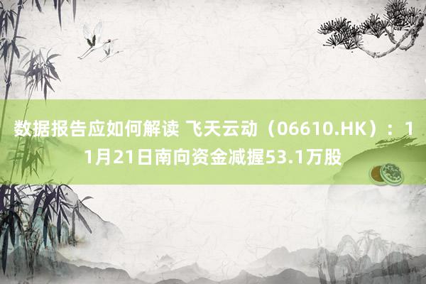 数据报告应如何解读 飞天云动（06610.HK）：11月21日南向资金减握53.1万股