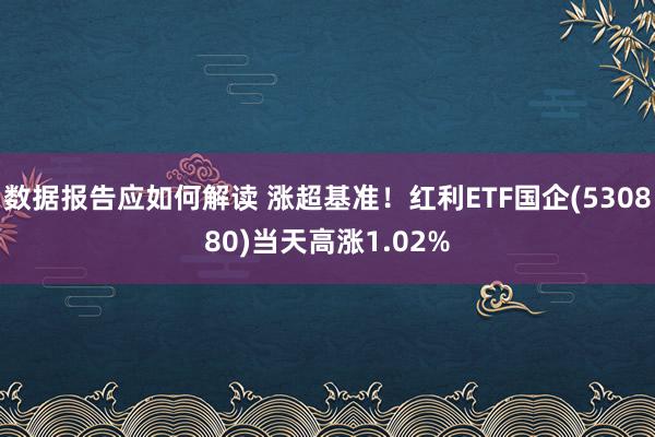 数据报告应如何解读 涨超基准！红利ETF国企(530880)当天高涨1.02%