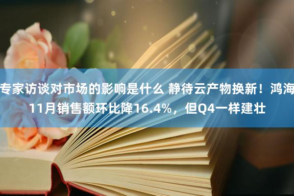 专家访谈对市场的影响是什么 静待云产物换新！鸿海11月销售额环比降16.4%，但Q4一样建壮