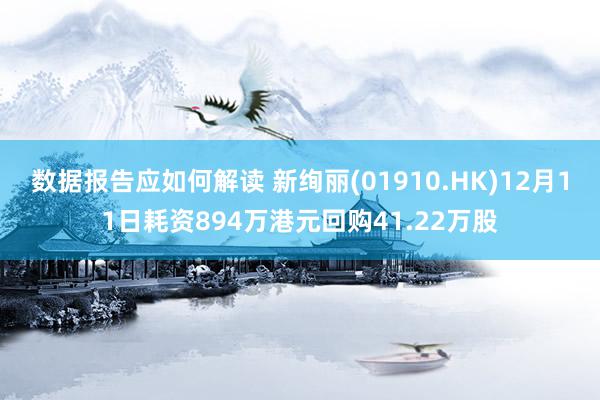 数据报告应如何解读 新绚丽(01910.HK)12月11日耗资894万港元回购41.22万股