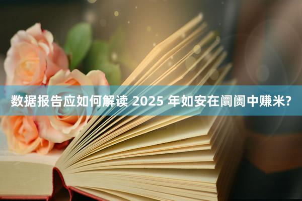 数据报告应如何解读 2025 年如安在阛阓中赚米?