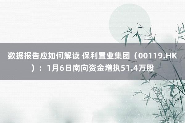 数据报告应如何解读 保利置业集团（00119.HK）：1月6日南向资金增执51.4万股