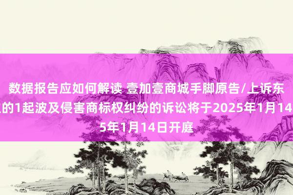 数据报告应如何解读 壹加壹商城手脚原告/上诉东说念主的1起波及侵害商标权纠纷的诉讼将于2025年1月14日开庭