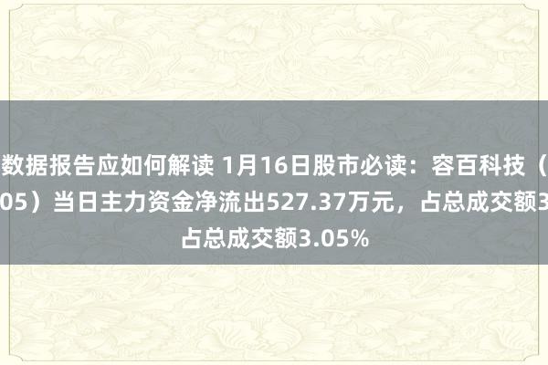 数据报告应如何解读 1月16日股市必读：容百科技（688005）当日主力资金净流出527.37万元，占总成交额3.05%