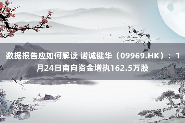 数据报告应如何解读 诺诚健华（09969.HK）：1月24日南向资金增执162.5万股