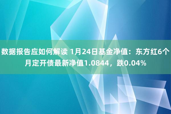 数据报告应如何解读 1月24日基金净值：东方红6个月定开债最新净值1.0844，跌0.04%