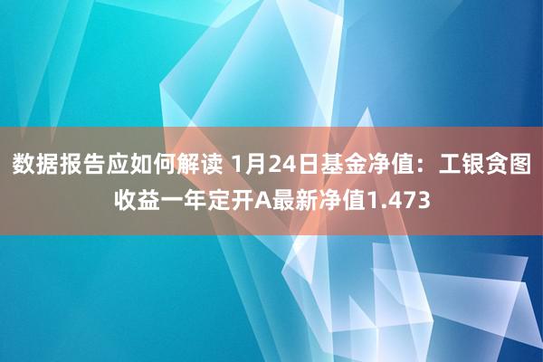 数据报告应如何解读 1月24日基金净值：工银贪图收益一年定开A最新净值1.473