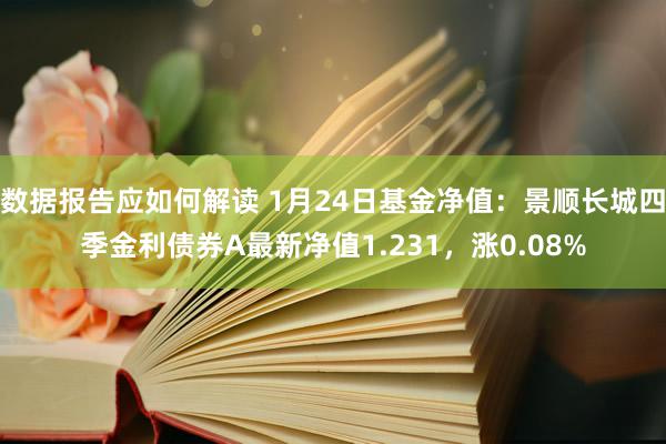 数据报告应如何解读 1月24日基金净值：景顺长城四季金利债券A最新净值1.231，涨0.08%