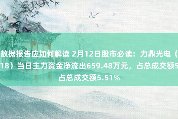 数据报告应如何解读 2月12日股市必读：力鼎光电（605118）当日主力资金净流出659.48万元，占总成交额5.51%