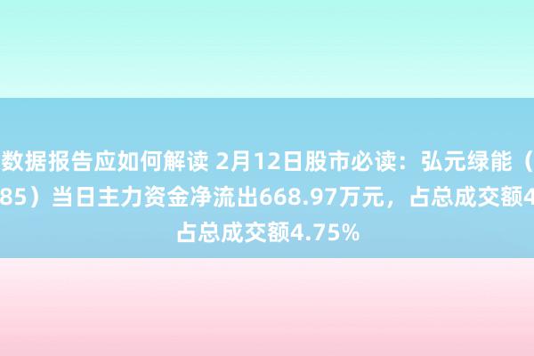 数据报告应如何解读 2月12日股市必读：弘元绿能（603185）当日主力资金净流出668.97万元，占总成交额4.75%