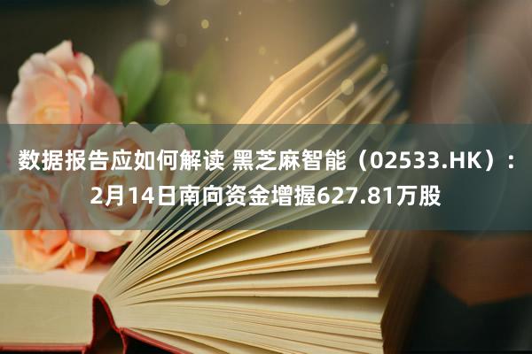 数据报告应如何解读 黑芝麻智能（02533.HK）：2月14日南向资金增握627.81万股