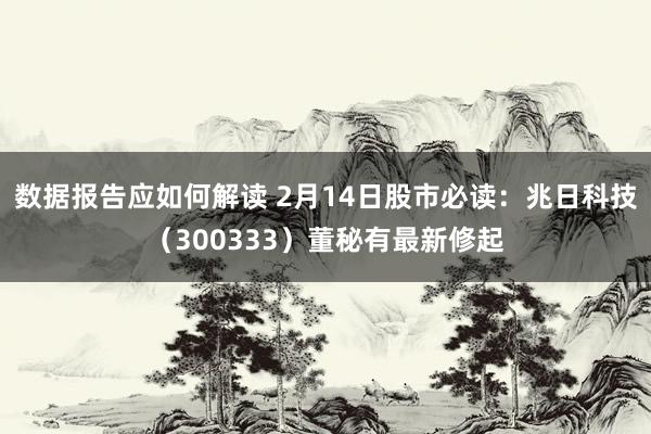 数据报告应如何解读 2月14日股市必读：兆日科技（300333）董秘有最新修起