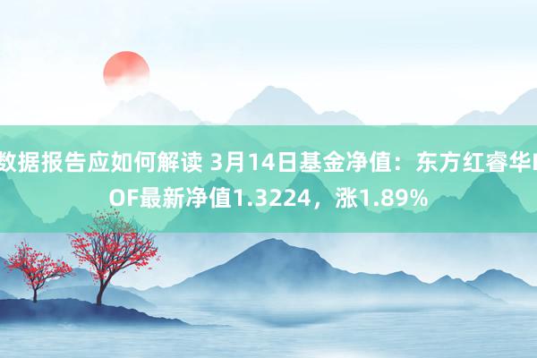 数据报告应如何解读 3月14日基金净值：东方红睿华LOF最新净值1.3224，涨1.89%