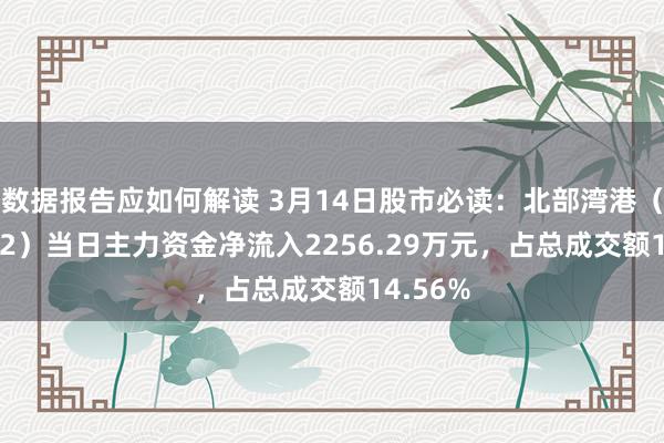 数据报告应如何解读 3月14日股市必读：北部湾港（000582）当日主力资金净流入2256.29万元，占总成交额14.56%